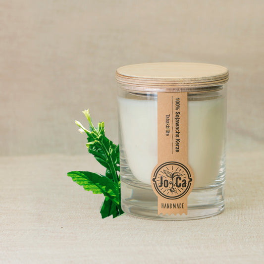 Sojakerze Tabakblüte